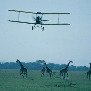 Photo Out of Africa - Souvenirs d'Afrique
