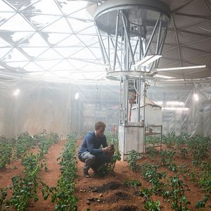 Photo Seul sur Mars