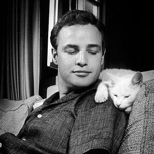 Photo Marlon Brando