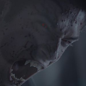 Photo Teen Wolf