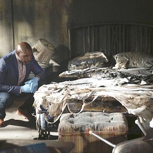 Photo Rosewood