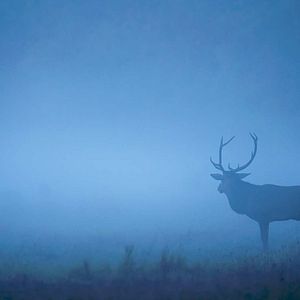 Photo Les Saisons
