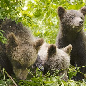 Photo Les Saisons