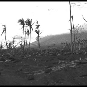 Photo Death in the Land of Encantos (Partie 1)