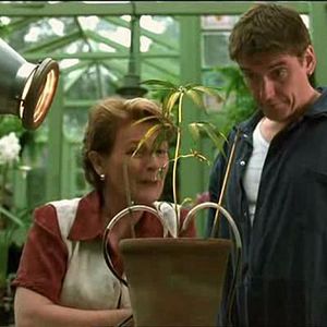 Photo Brenda Blethyn