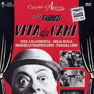 Photo Vita da cani