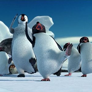 Photo Happy Feet