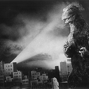 Photo Godzilla