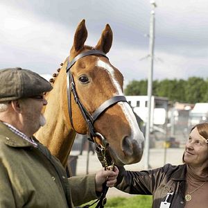 Photo Dark Horse: The Incredible True Story Of Dream Alliance