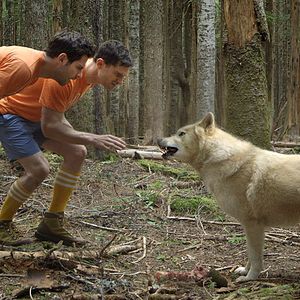 Photo Buddymoon
