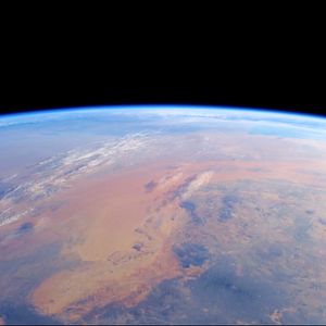 Photo Cowspiracy: The Sustainability Secret