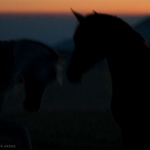 Photo Beyond our arena