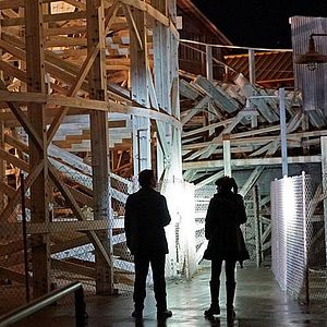 Photo Pauley Perrette