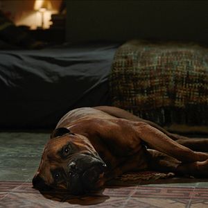 Photo Truman