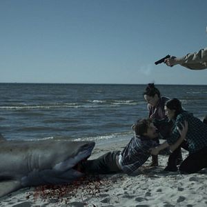 Photo Zombie Shark