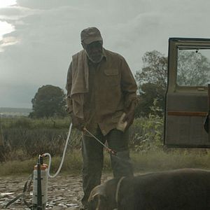 Photo Sr. Pig