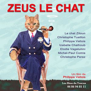 Photo Zeus le chat