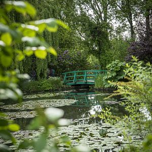 Photo Peindre le jardin moderne : de Monet à Matisse