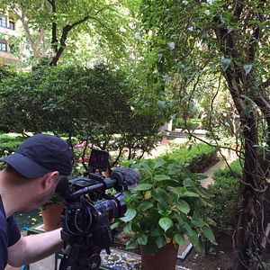 Photo Peindre le jardin moderne : de Monet à Matisse