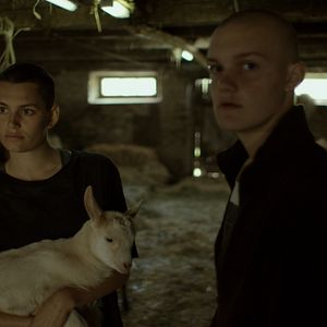 Photo Benjamin Lutzke