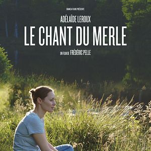 Photo Le Chant du merle