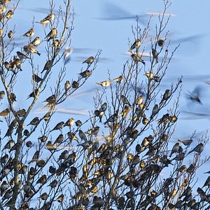 Photo Les Saisons