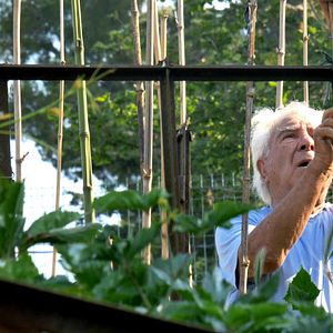 Photo Le Potager de mon grand-père