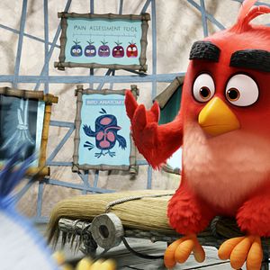 Photo Angry Birds - Le Film
