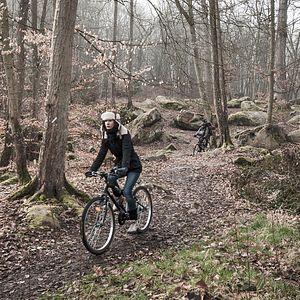 Photo Hélène Senot