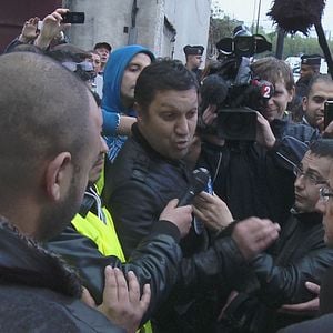 Photo Comme des lions