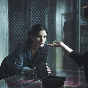 Photo Sarah Wayne Callies