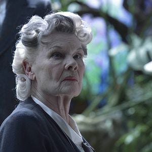 Photo Judi Dench