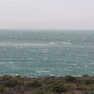 Photo Le Bien-Aimé