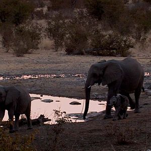 Photo Gardiens de la Terre