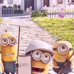 Photo Minions en herbe