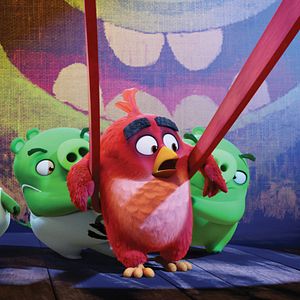 Photo Angry Birds - Le Film