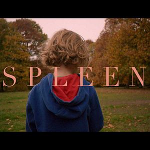 Photo Spleen