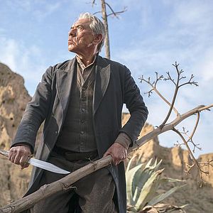 Photo Wes Studi