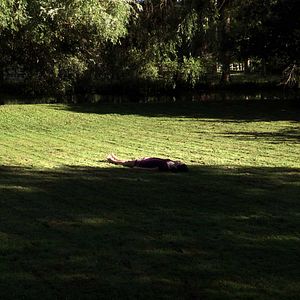 Photo Humeur Liquide