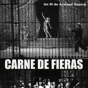 Photo Carne de Fieras