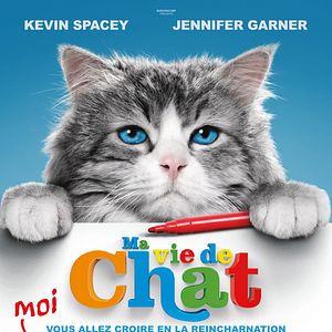 Photo Ma vie de chat