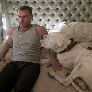 Photo Liev Schreiber
