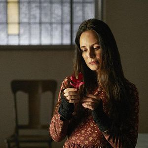Photo 12 Monkeys