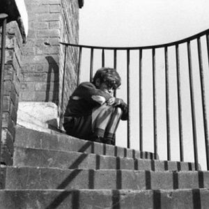 Photo Stephen Archibald