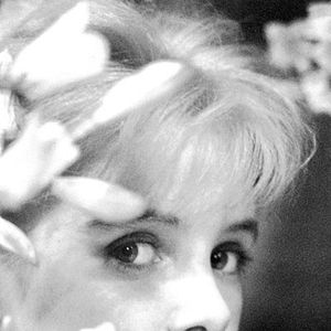 Photo Sue Lyon