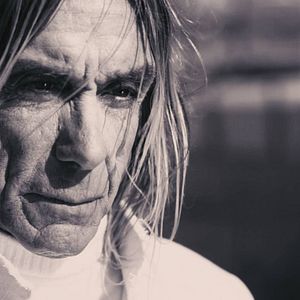 Photo Iggy Pop