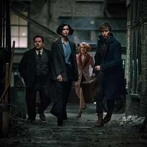 Photo Katherine Waterston