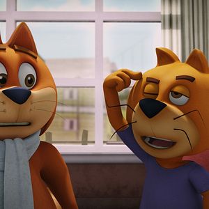 Photo Don Gato: El Inicio de la Pandilla
