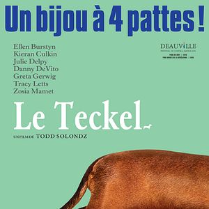 Photo Le Teckel
