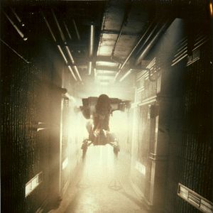 Photo Moontrap